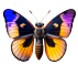 A butterfly